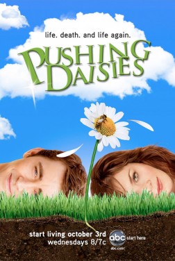Pushing Daisies